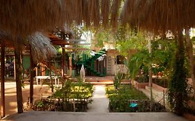 M a r e a V i v a -Linda y tranquila casa familiar con hospedaje en el corazón de Zipolite-
