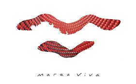 M a r e a V i v a -Linda y tranquila casa familiar con hospedaje en el corazón de Zipolite-